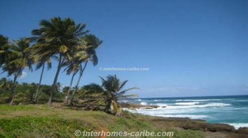 photos for SAMANA THE COVES: OCEAN FRONT LOT 29 405 M2